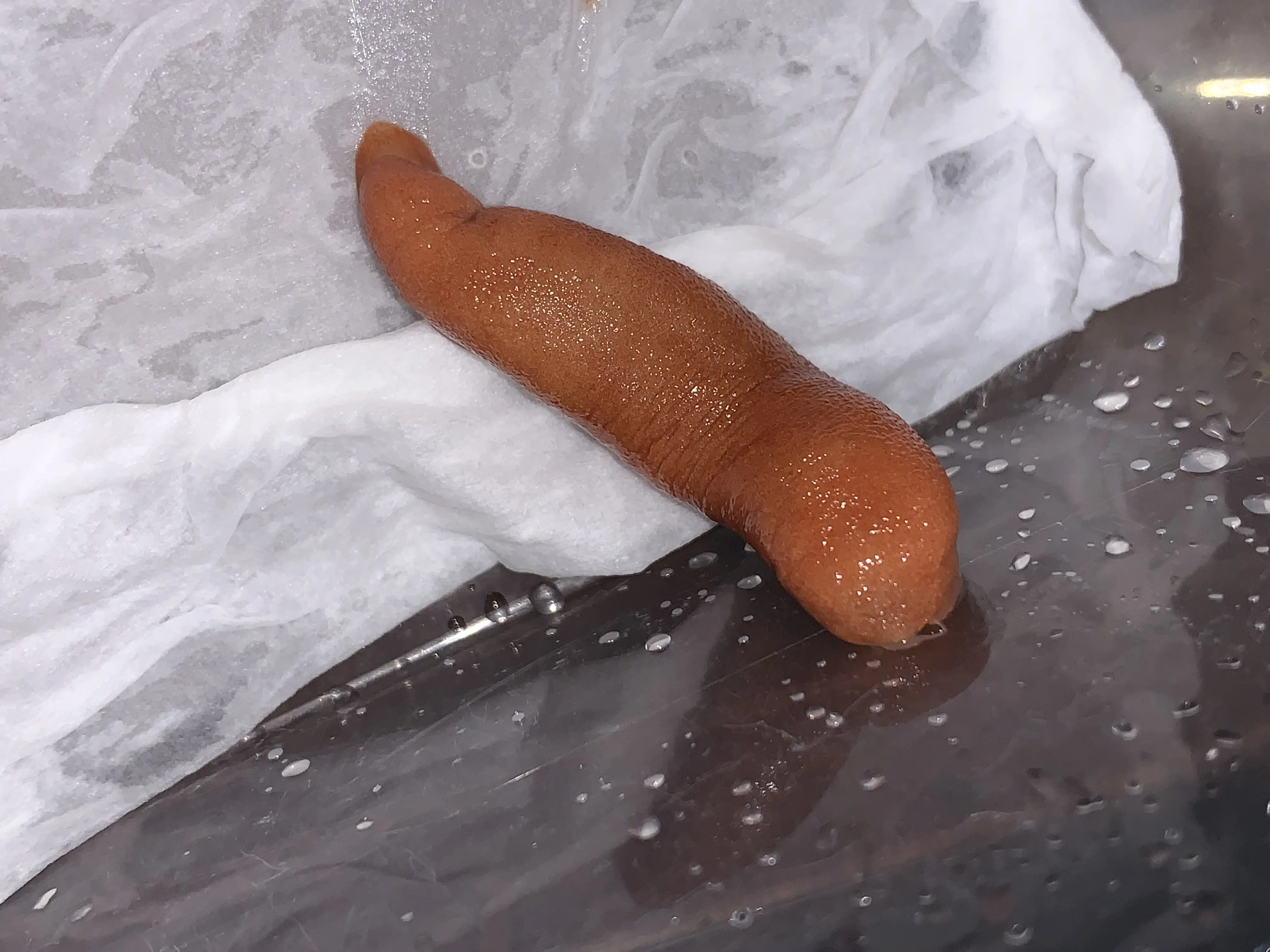 9bo.com-鈊袽臰塰蘤妚侢開灬